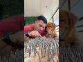 Jogo da velha com youtubers #shorts
