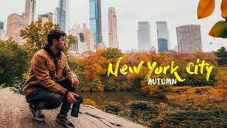 The Best Time To Visit New York City Vlog