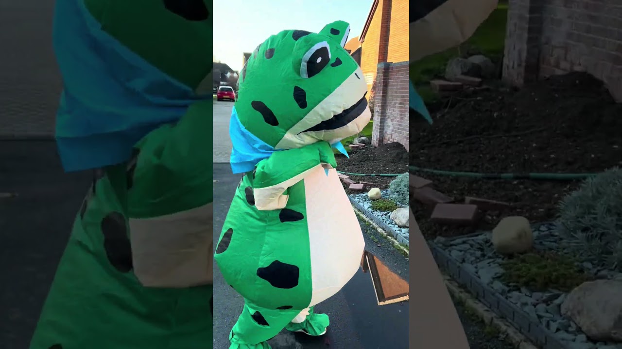 ￼Frog finds a puddle 