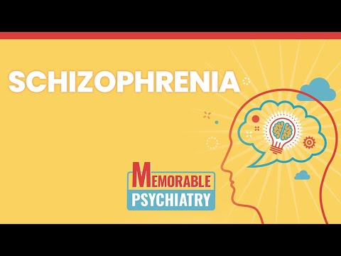 Psychosis u0026 Schizophrenia Mnemonics (Memorable Psychiatry Lecture)