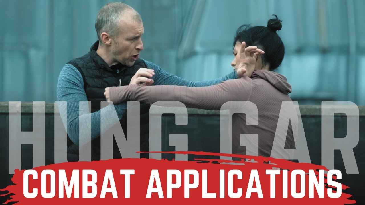 Применение техники Хунг Гар в бою | Функциональная мощь традиционного кунг-фу