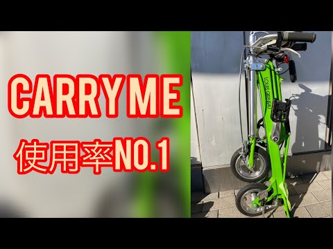 キャリーミー CarryME インプレッション ハワイアン尺八