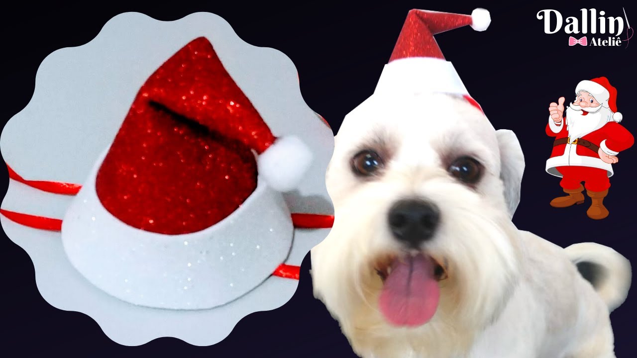 Como Fazer Gorro Pet 🎅Papai Noel🎅 | Muito Lindo | Natal
