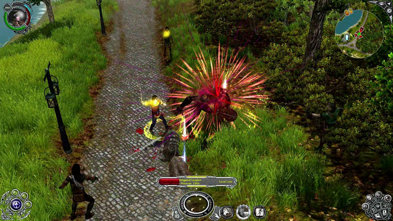 Feral Rage - Diablo 2 Fallen