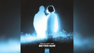 Mike Williams \u0026 Oaks - Better Now (Club Mix) (Preview)