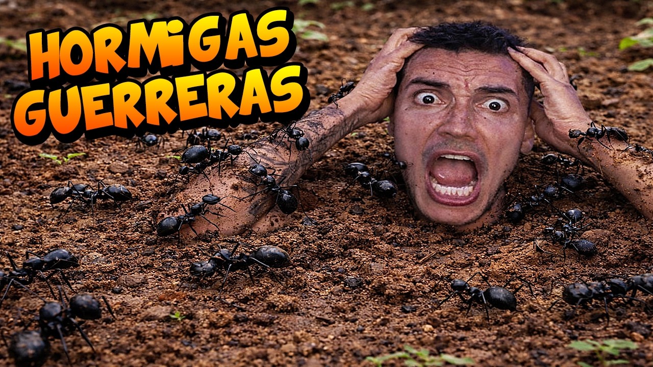 LAS HORMIGAS DESTRUYERON EL TERRENO Y ME PICARON