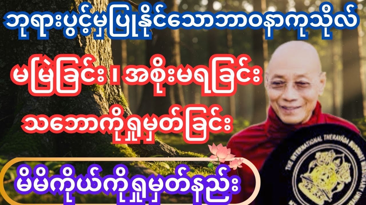 မြတ်ဗုဒ္ဓပွင့်ပေါ်မှ ကျင့်သုံးနိုင်သောဝိပဿနာ