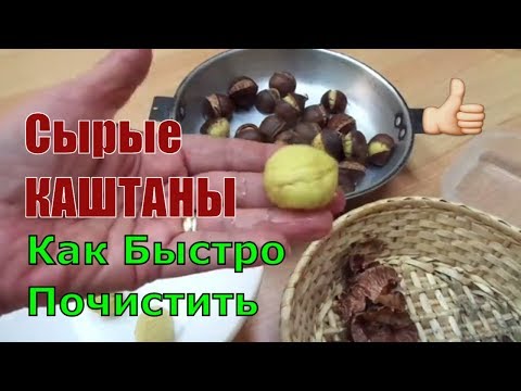 КАШТАНЫ Как Быстро Почистить от Кожуры Сырые Каштаны Приготовить