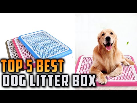 Video: Bagay Ba Sa Dog Litter?