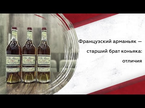 Французский арманьяк — старший брат коньяка: отличия.