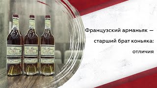 Арманьяк и коньяк: разница, особенности, история