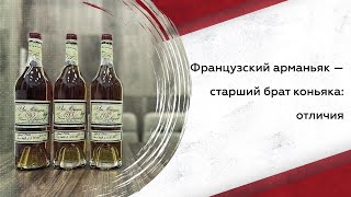 Французский арманьяк — старший брат коньяка: отличия.