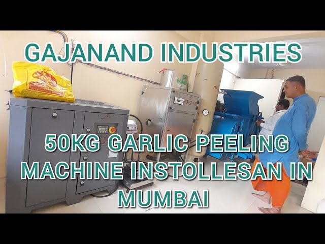 Garlic Peeling Machine Manufacturer Supplier from Rajkot Gujarat