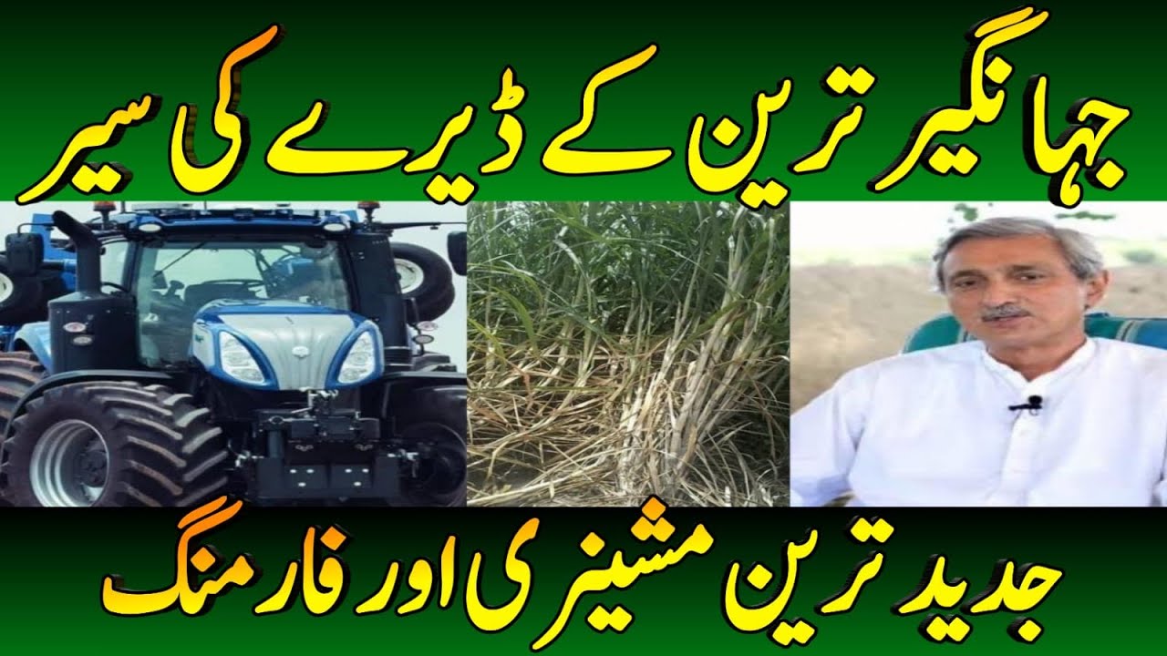 Jahangir Tareen's Farms Tour in desert cholistan |part 2|JDW Group |Modern Farming Machine |desert|