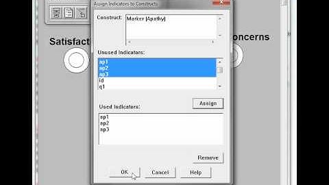 PLS Common Method Bias (CMB)