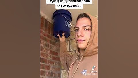 Gasoline Trick on a Wasp Nest