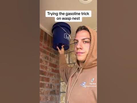 Gasoline Trick on a Wasp Nest - YouTube