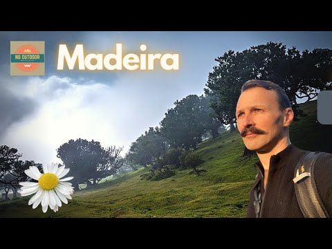 Madeira: 8 things to see