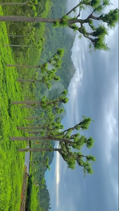 nature love tamil whatsapp status#status #love #new2021status