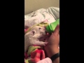 Newborn puppy bottle feeding