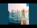 Miniature de la vidéo de la chanson Sonata For Mandolin And Violin In E Minor: Preludio - Presto