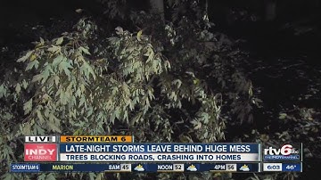 Power lines, trees down after storm