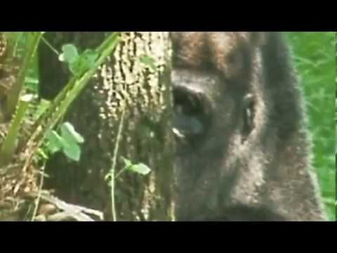 timetool for game camera timetool for game camera