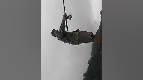 câu cá mương bằng rọ