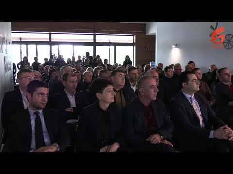 სამეგრელო-ზემო სვანეთის სახელმწიფო რწმუნებულმა ანგარიში წარადგინა