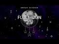 BGA Dream Catcher Full Moon 