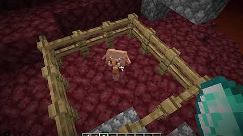 Minecraft Java Edition 1.16.2 Duplication Glitch