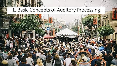 5.1. Basics of Auditory Processing, Fundamentals of Cognitive Neuroscience Course, Session 5, Part 1