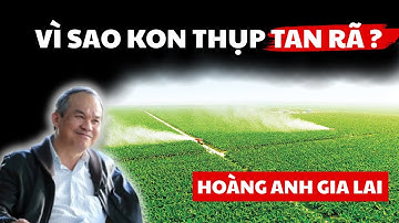 Vì Sao HAGL Bất Ngờ Giải Thể Nông Nghiệp Kon Thụp? Bước Đi Khiến Nhà Đầu Tư Sững Sờ!