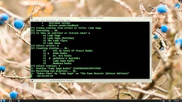 Pianobar - Terminal Pandora Player - Kubuntu 11.04