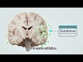 👉 Cómo el sueño profundo ayuda a limpiar y proteger tu cerebro