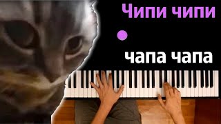 🐱💃 ЧИПИ ЧИПИ ЧАПА ЧАПА (на русском) | @MelodyNoteVtuber  ● караоке | PIANO_KARAOKE ● ᴴᴰ + НОТЫ