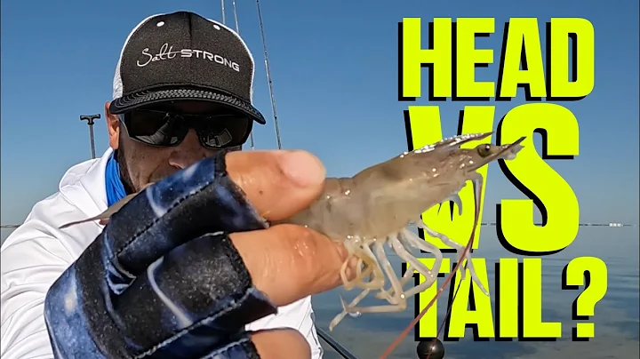 The Ultimate Guide To Rigging Live Shrimp (Catch More Inshore Fish!)