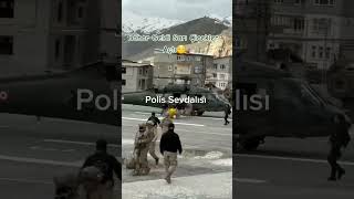 Bahar Geldi Sarı Çiçekler Açtı. Resimi