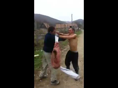 Unguri betivi in actiune :))) (Mori de ras) :D
