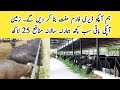 Farmer Alert ll Free Offer For Dairy Farm for All Dairy Farmers