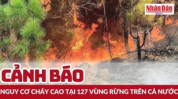 Cảnh báo nguy cơ cháy cao tại 127 vùng rừng trên cả nước | Báo Nhân Dân