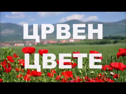 Црвен цвете | песма посвећена Косовским јунацима