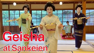 Geisha at Yokohama Sankeien / 横浜芸者 三溪園にて特別イベント #geisha