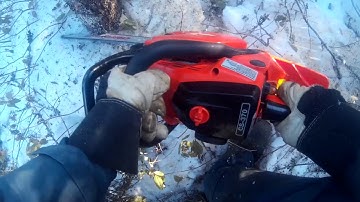 Sawing Down Firewood with a Chainsaw | Echo CS-370