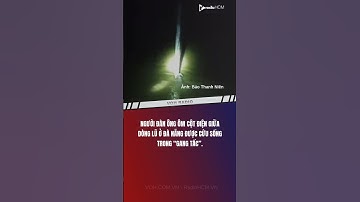 Cứu sống người đàn ông ôm cột điện giữa dòng lũ Đà Nẵng