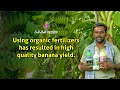Our Banana Farmer Mr. John Jebaraj from Thoothukudi shares His Results!