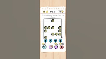Brain Test Level 255 The ghost must escape from the traps.