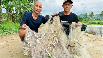 Đánh Lưới Cá Gách - Toàn Đen Sơn Dược Vlog