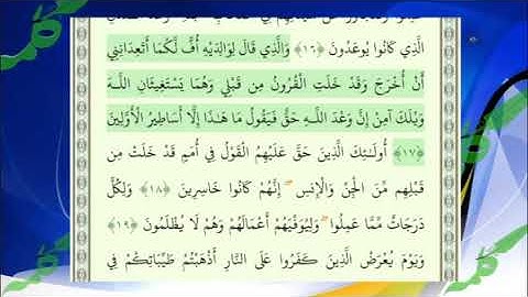تلاوت دلنشین آیات 15 تا 19 سوره احقاف با صدای زیبای محمد صدیق منشاوی