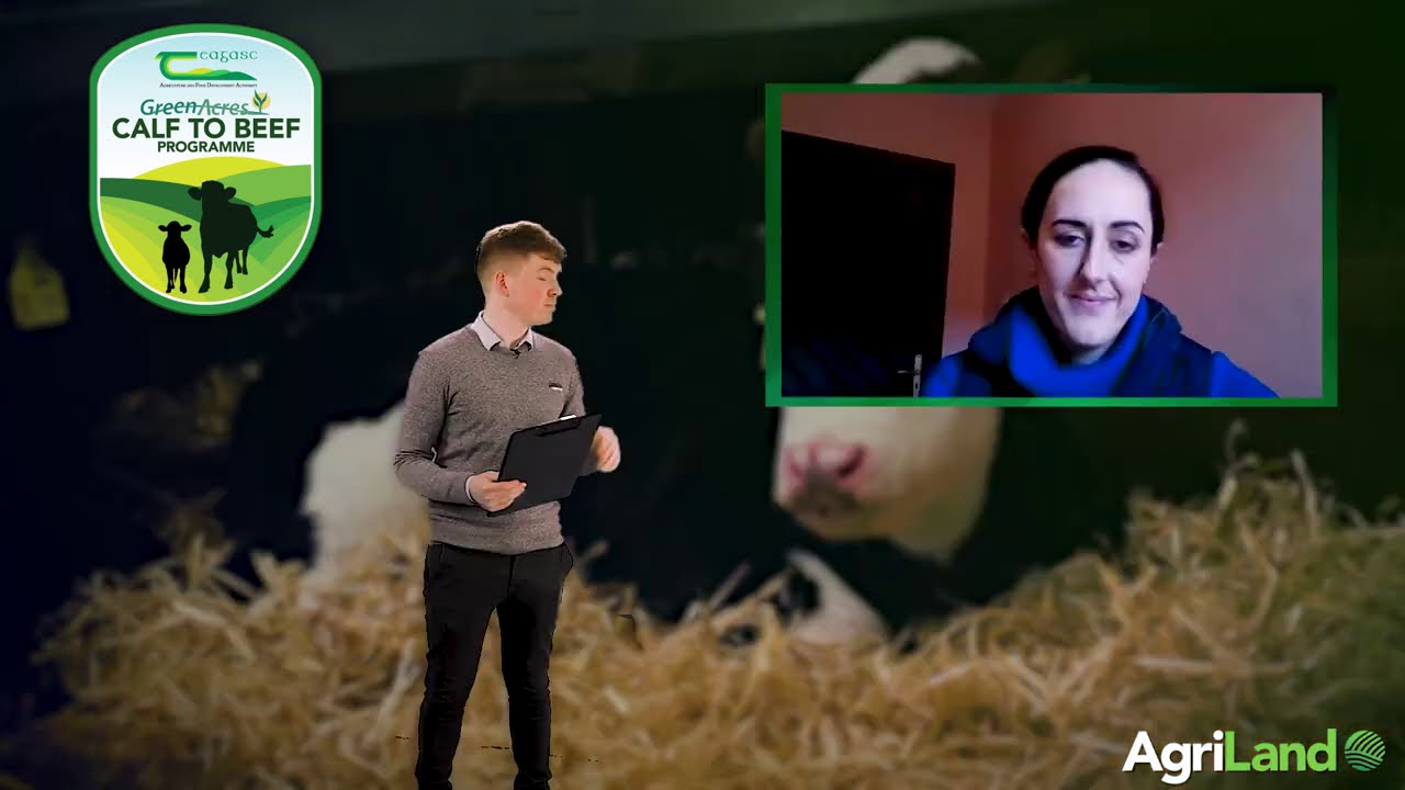 The Calf Show - Wednesday - Calf health and vaccinations